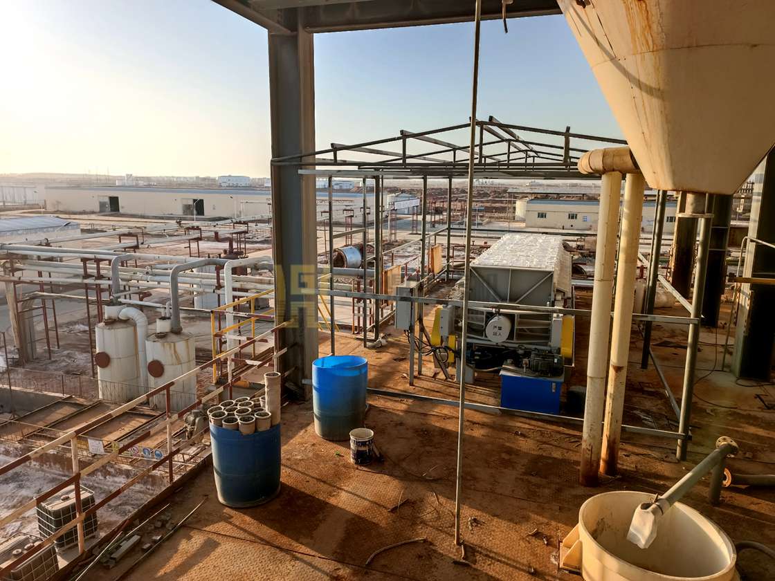 3193177a43e69980502a1cf2f87569d (2).jpg